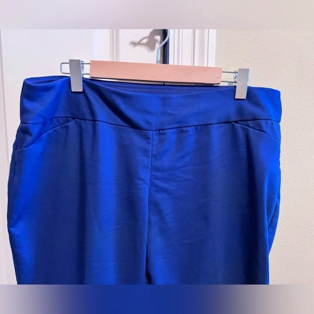 Investments Women’s Plus Size Navy blue Crop Pants Slimming Sz 18W